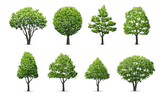 Detail Tree Psd Nomer 38