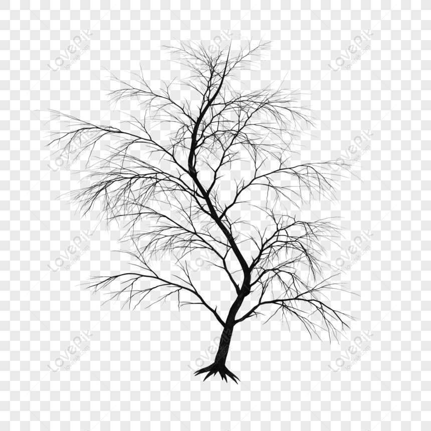 Detail Tree Psd Nomer 43
