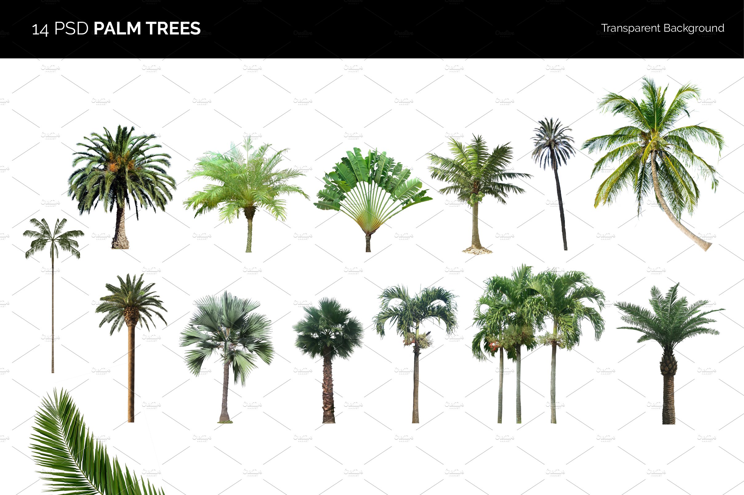 Detail Tree Psd Nomer 53