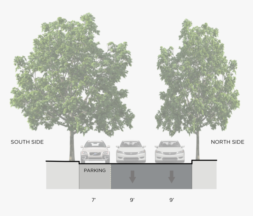Detail Tree Section Png Nomer 18