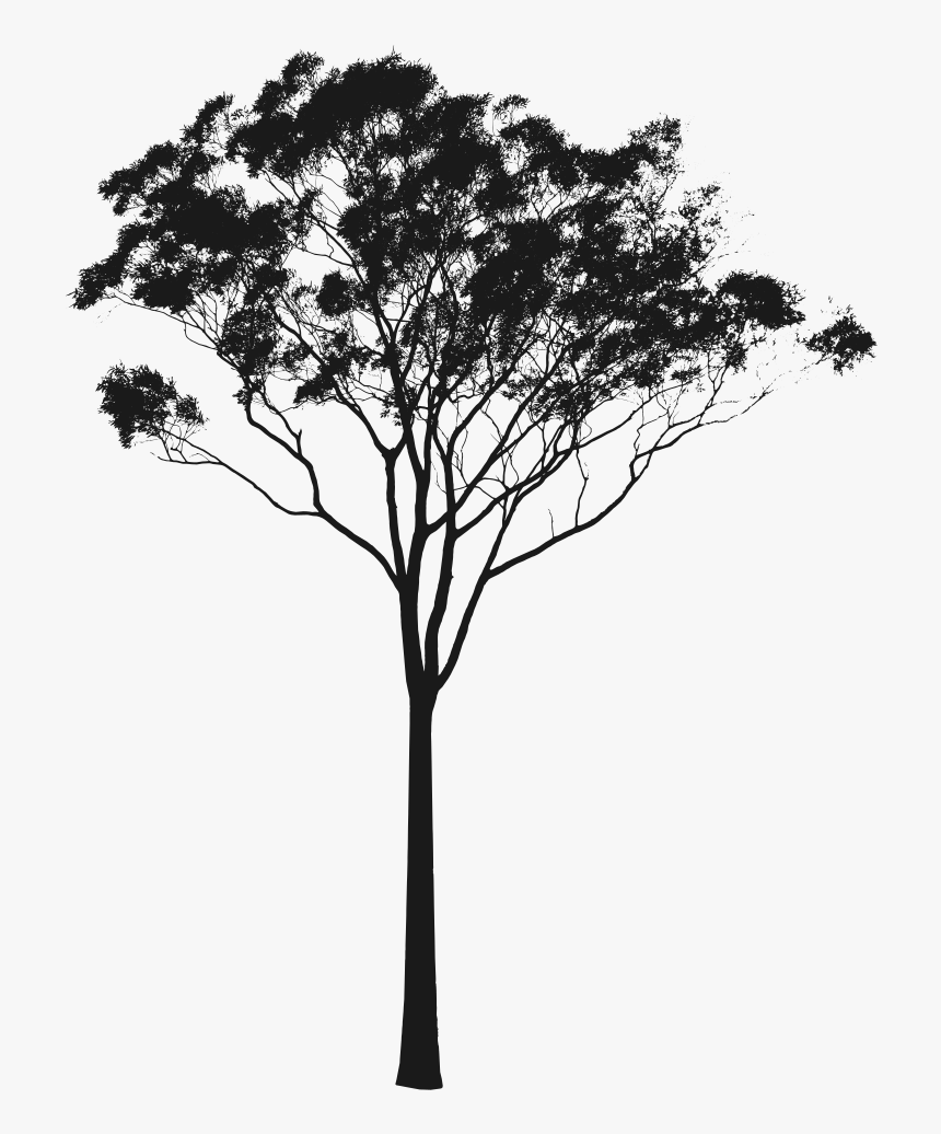 Detail Tree Section Png Nomer 4