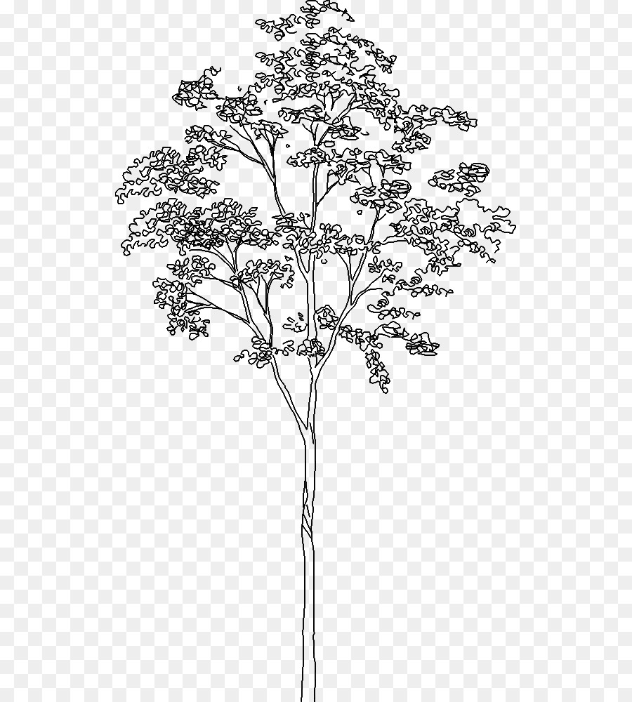Detail Tree Section Png Nomer 31