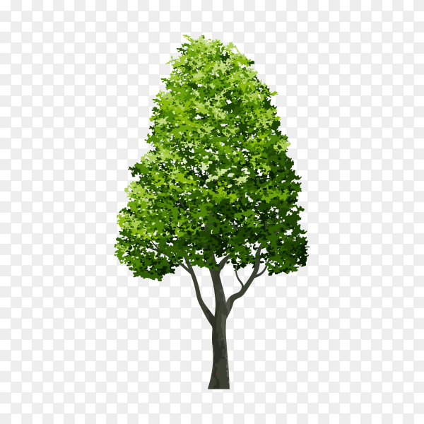 Detail Tree Section Png Nomer 34