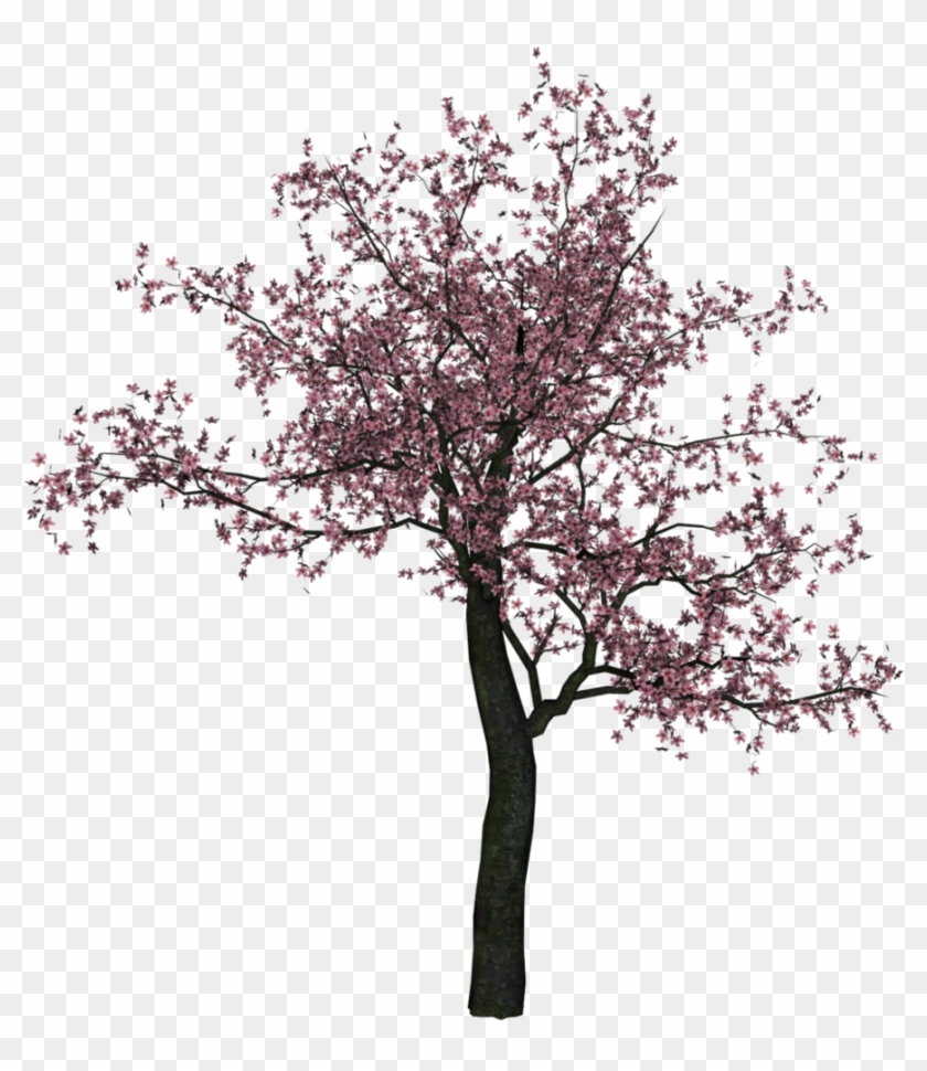 Detail Tree Section Png Nomer 40