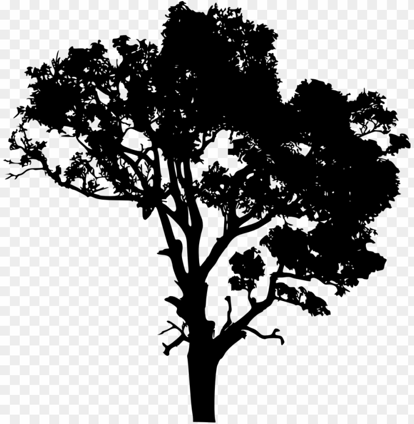 Detail Tree Section Png Nomer 45