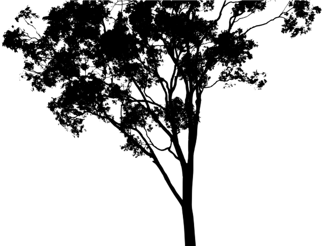 Detail Tree Section Png Nomer 47