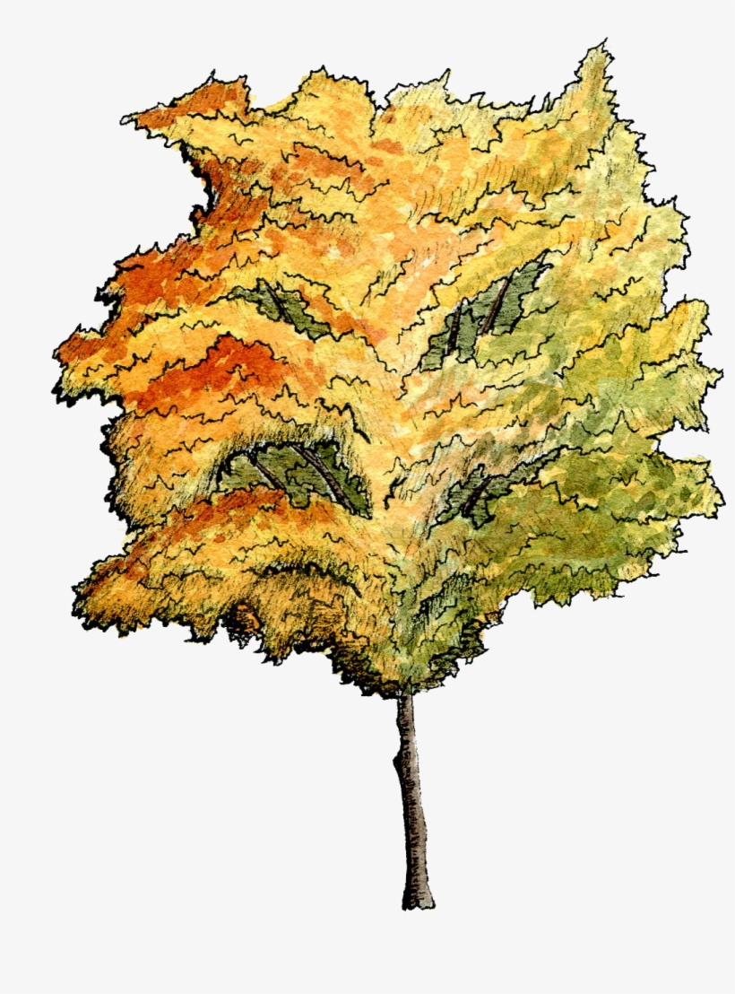 Detail Tree Section Png Nomer 49