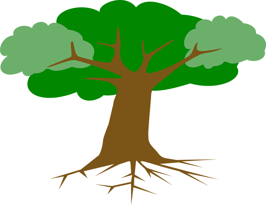 Detail Tree Section Png Nomer 50