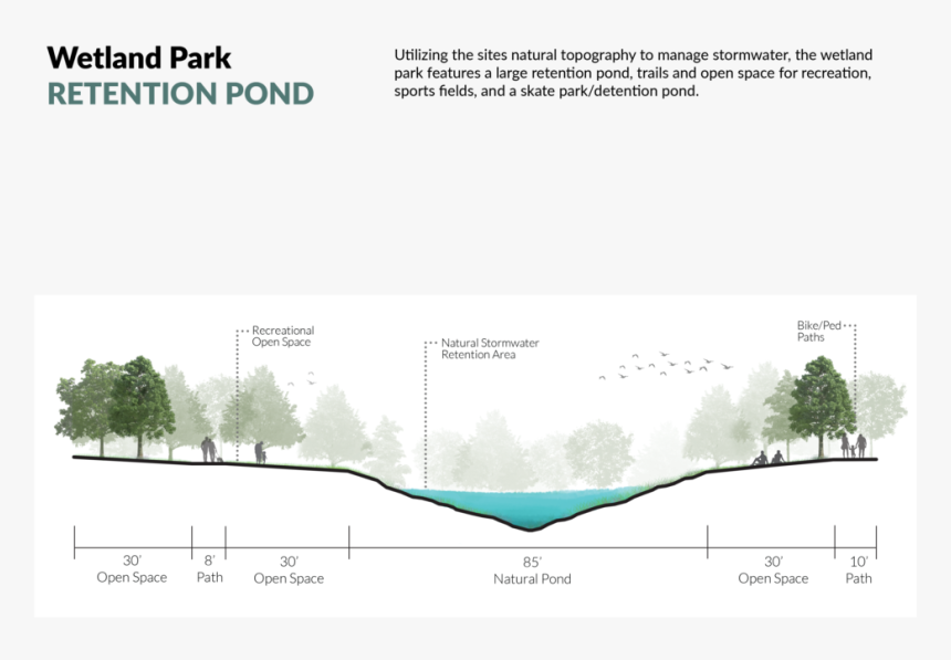 Detail Tree Section Png Nomer 8