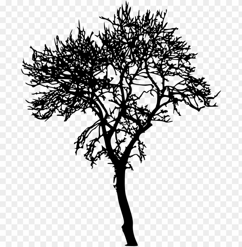 Detail Tree Silhouette Transparent Background Nomer 10