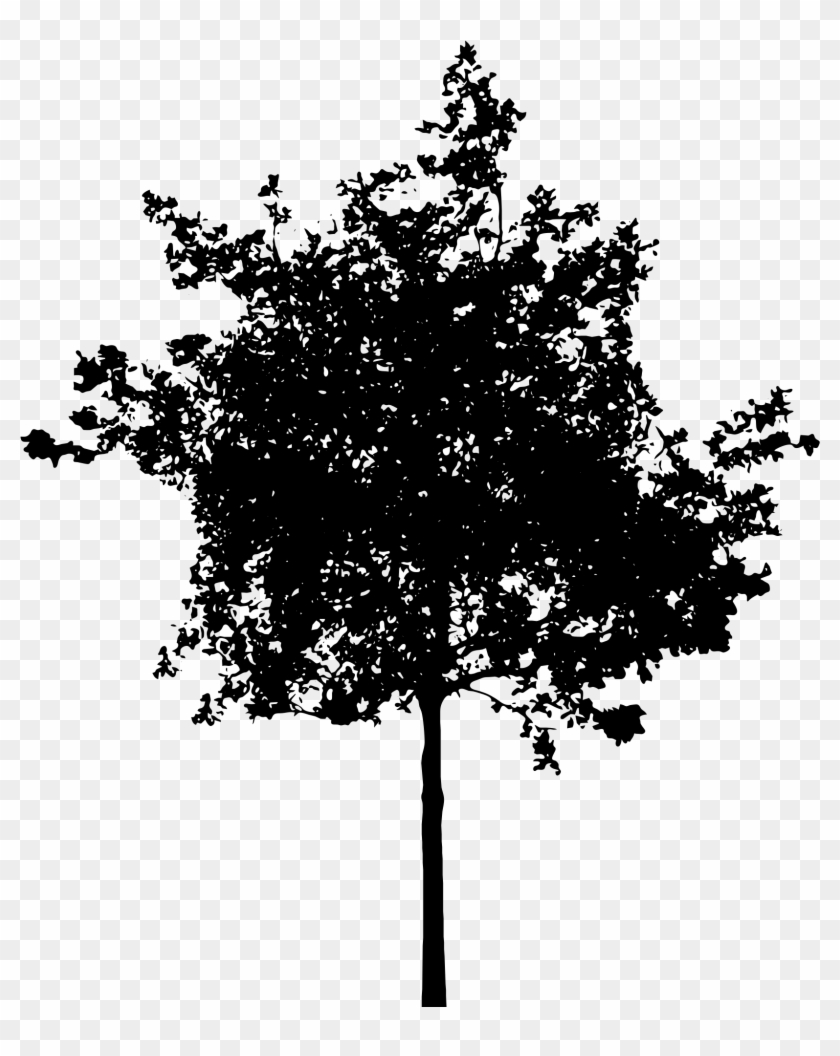 Detail Tree Silhouette Transparent Background Nomer 13