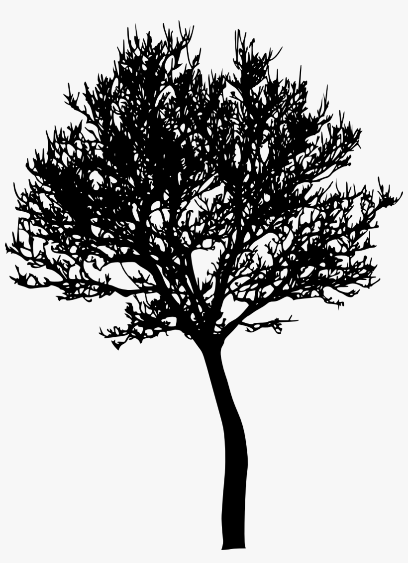 Detail Tree Silhouette Transparent Background Nomer 14