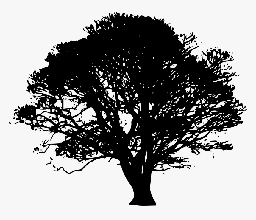 Detail Tree Silhouette Transparent Background Nomer 16