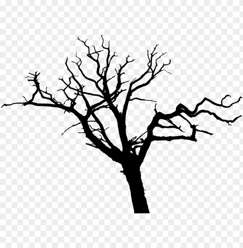 Detail Tree Silhouette Transparent Background Nomer 18