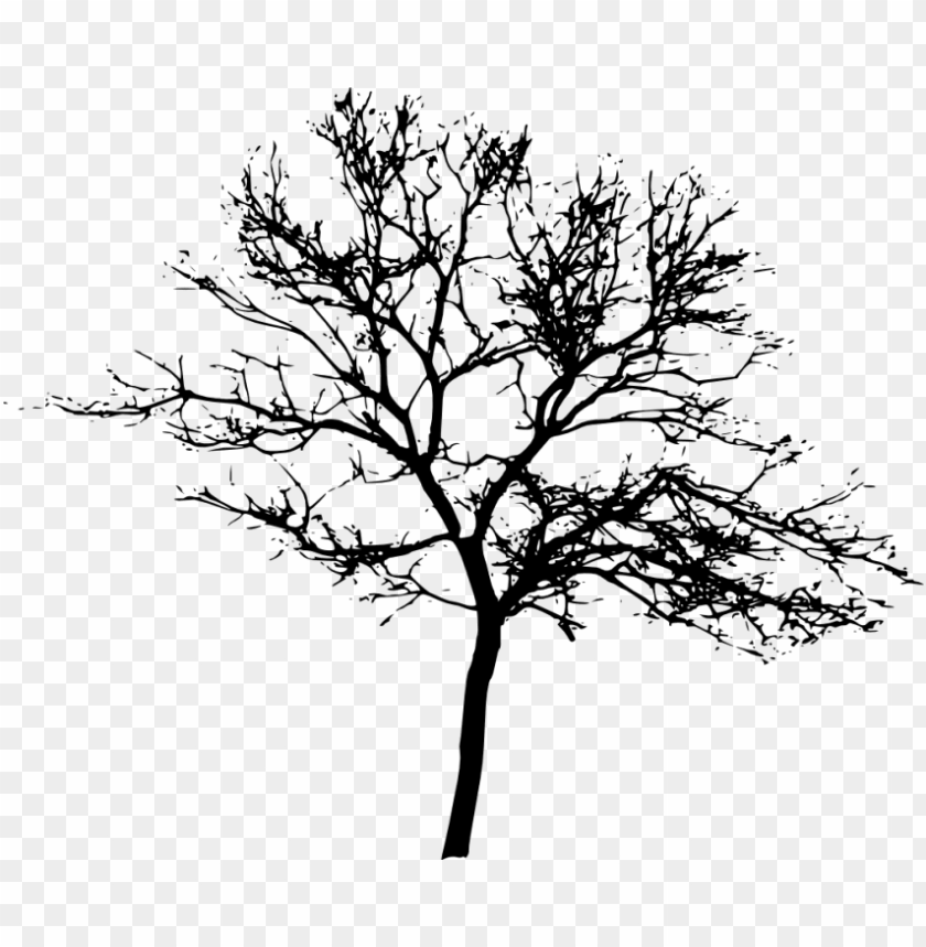 Detail Tree Silhouette Transparent Background Nomer 2