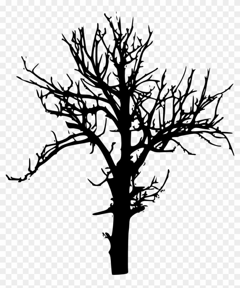 Detail Tree Silhouette Transparent Background Nomer 20