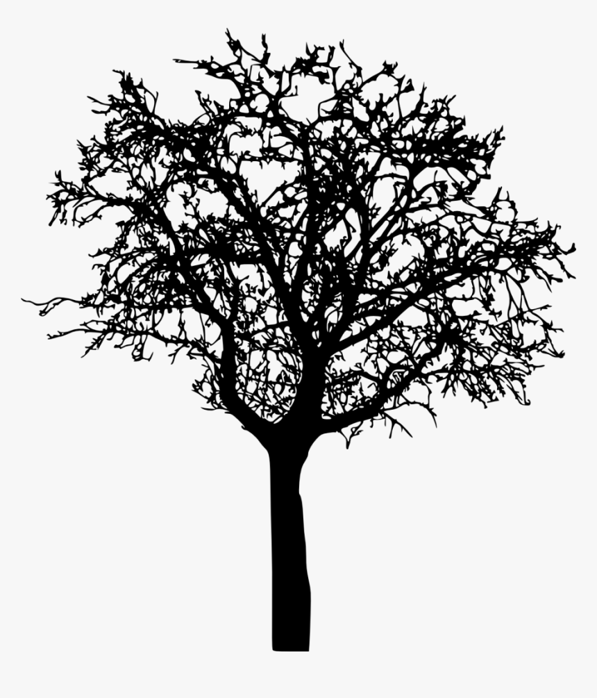 Detail Tree Silhouette Transparent Background Nomer 21