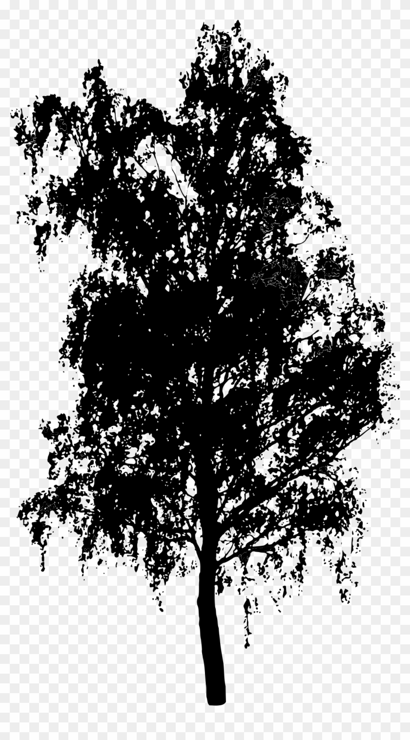 Detail Tree Silhouette Transparent Background Nomer 23