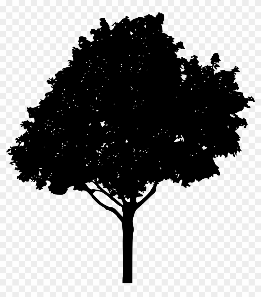 Detail Tree Silhouette Transparent Background Nomer 25