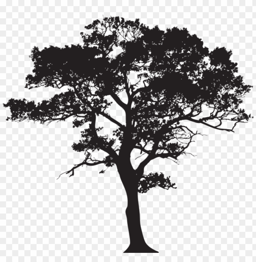 Detail Tree Silhouette Transparent Background Nomer 3