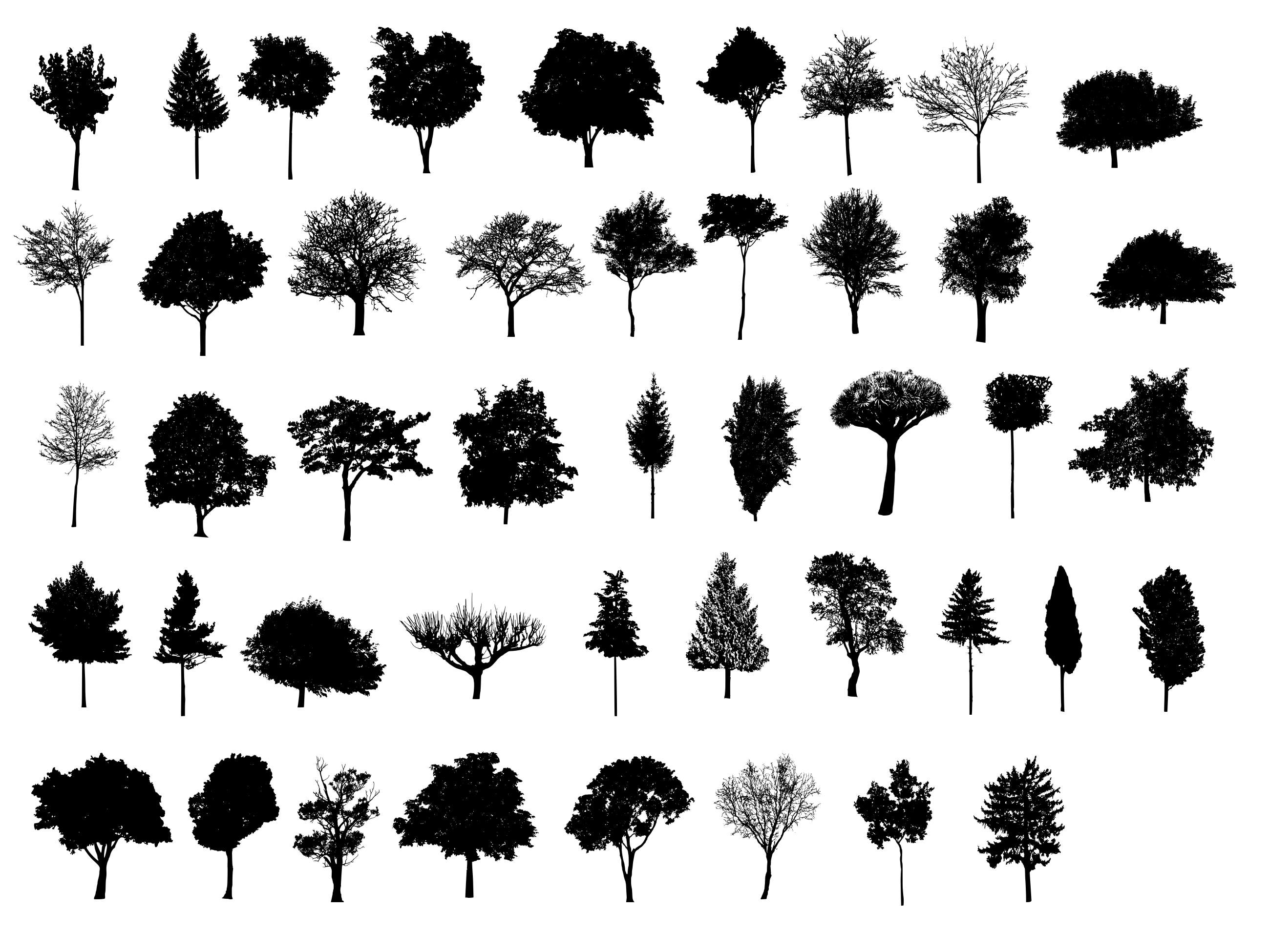 Detail Tree Silhouette Transparent Background Nomer 28