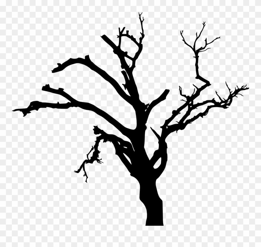 Detail Tree Silhouette Transparent Background Nomer 31