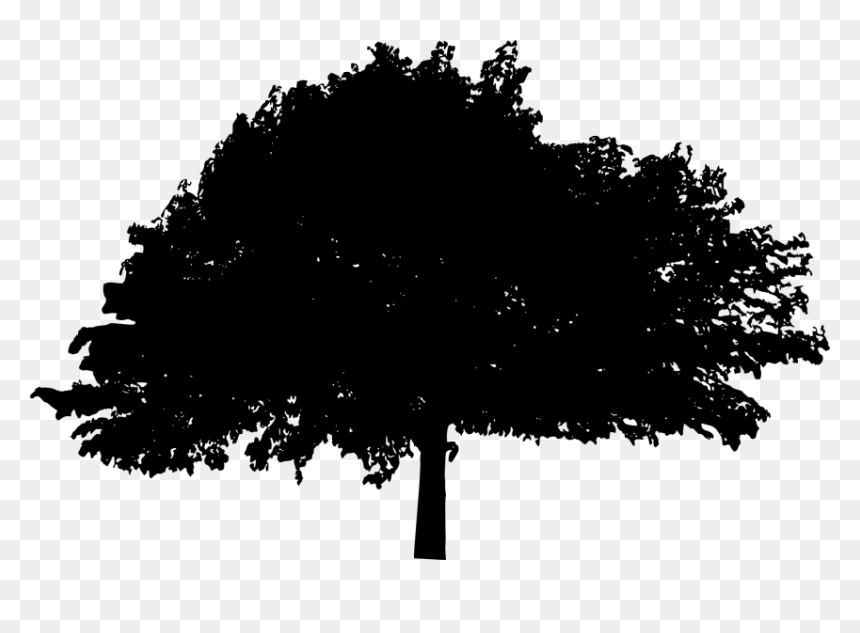 Detail Tree Silhouette Transparent Background Nomer 32