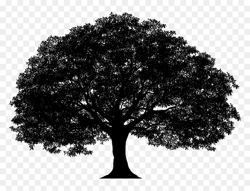 Detail Tree Silhouette Transparent Background Nomer 34