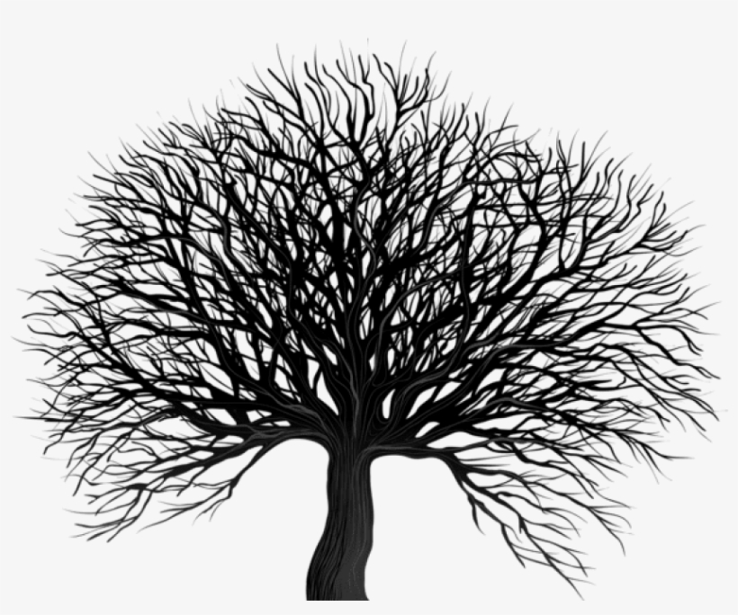 Detail Tree Silhouette Transparent Background Nomer 35