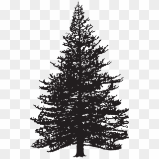 Detail Tree Silhouette Transparent Background Nomer 38
