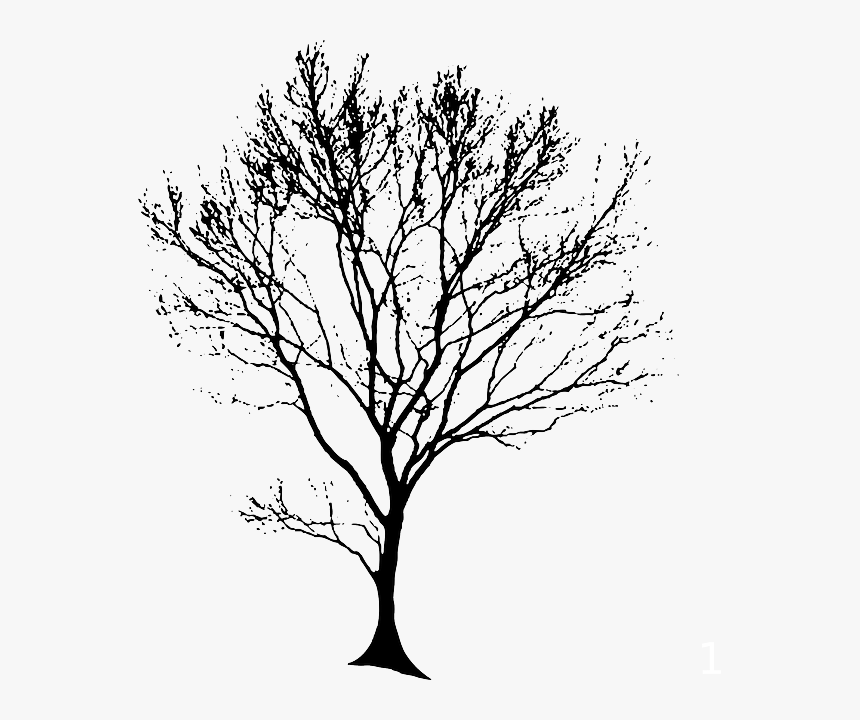 Detail Tree Silhouette Transparent Background Nomer 39