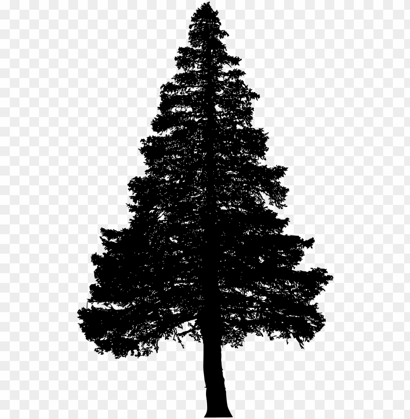 Detail Tree Silhouette Transparent Background Nomer 45