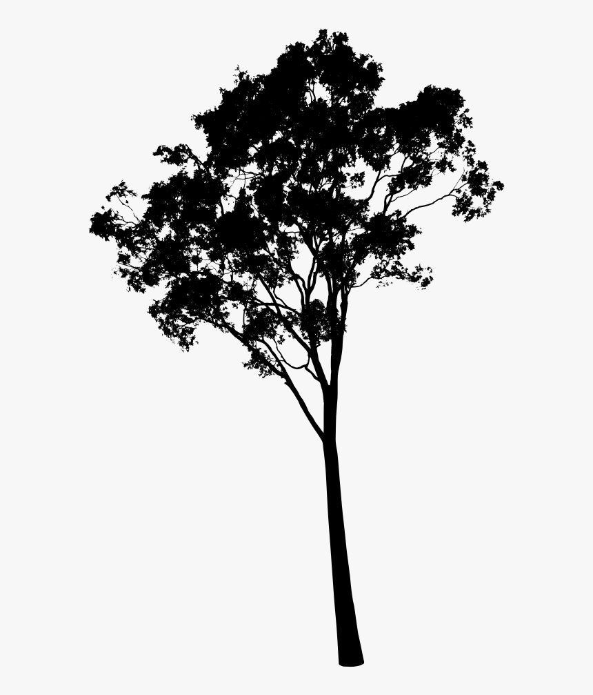 Detail Tree Silhouette Transparent Background Nomer 46
