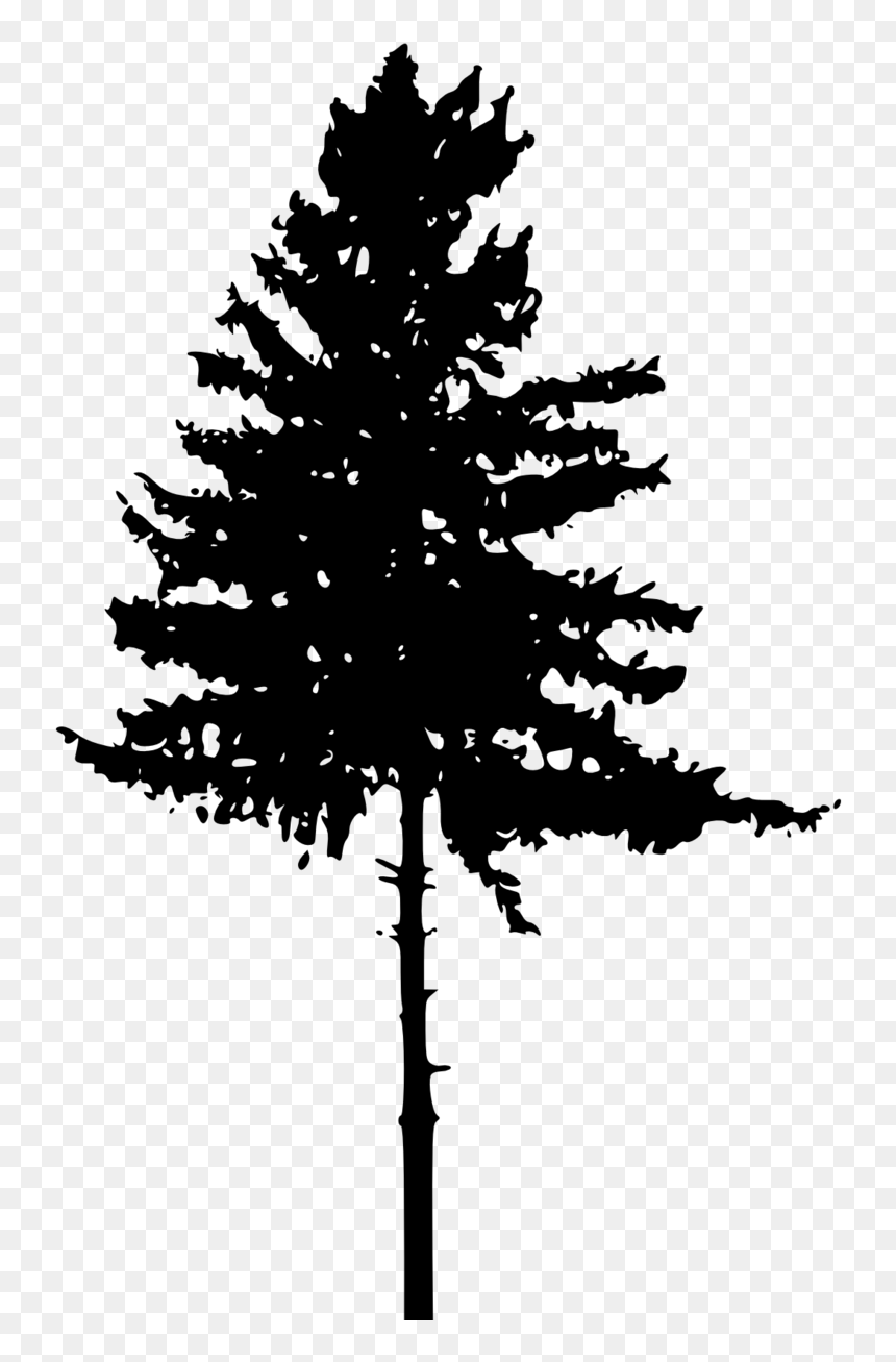 Detail Tree Silhouette Transparent Background Nomer 47