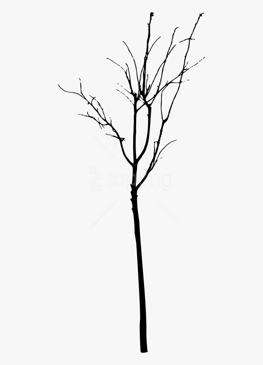 Detail Tree Silhouette Transparent Background Nomer 48