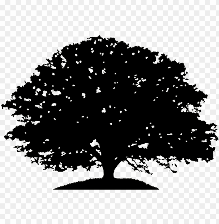 Detail Tree Silhouette Transparent Background Nomer 49