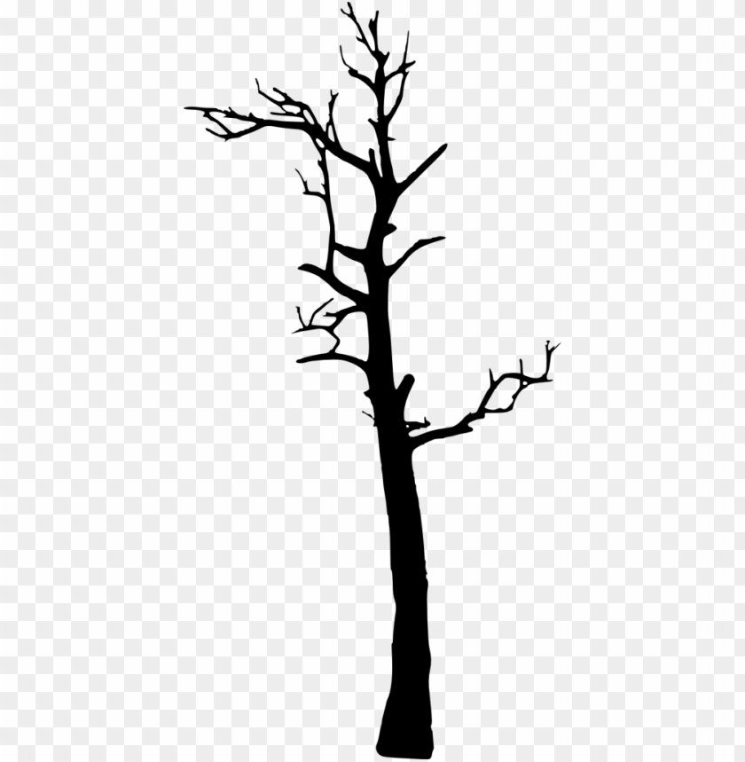 Detail Tree Silhouette Transparent Background Nomer 52