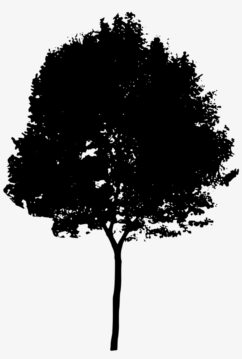 Detail Tree Silhouette Transparent Background Nomer 53