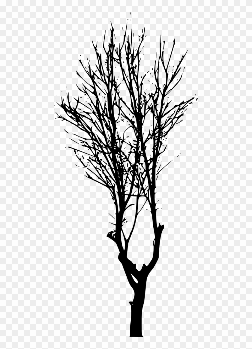 Detail Tree Silhouette Transparent Background Nomer 54