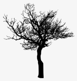 Detail Tree Silhouette Transparent Background Nomer 8