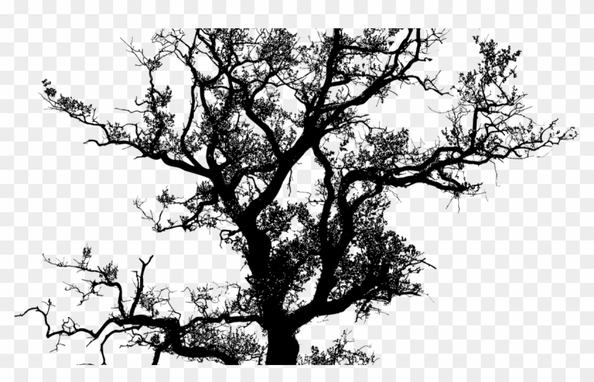 Detail Tree Siluet Nomer 11