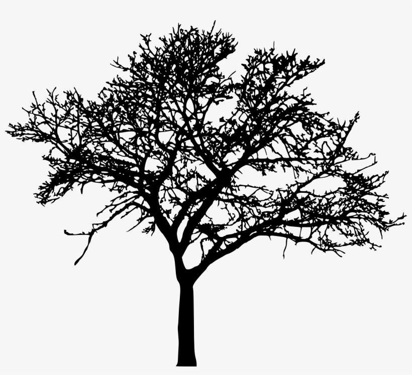 Detail Tree Siluet Nomer 12