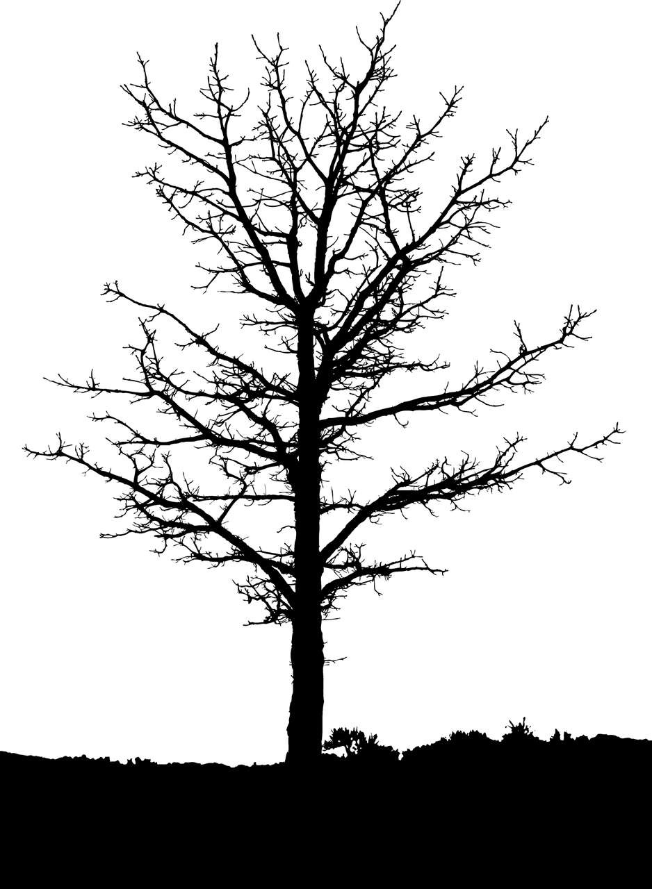 Detail Tree Siluet Nomer 21