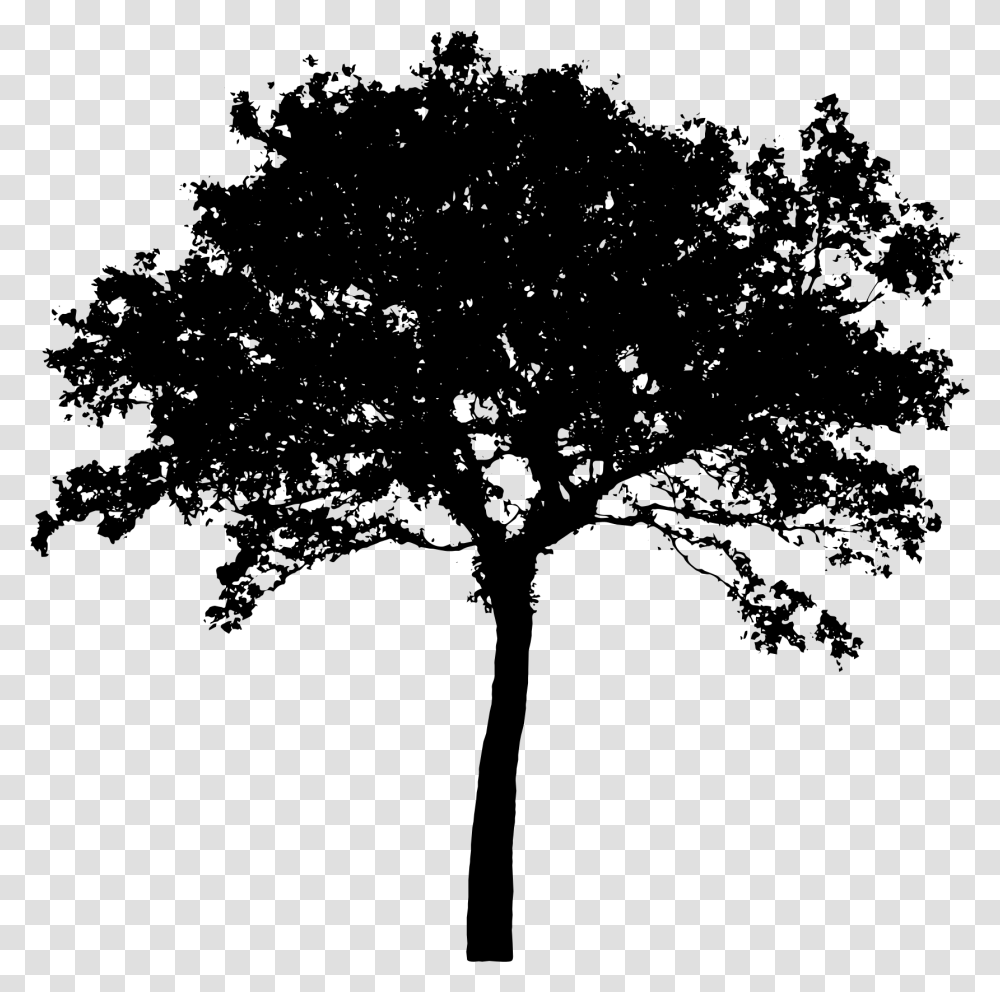 Detail Tree Siluet Nomer 22