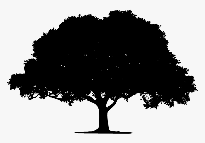 Detail Tree Siluet Nomer 33