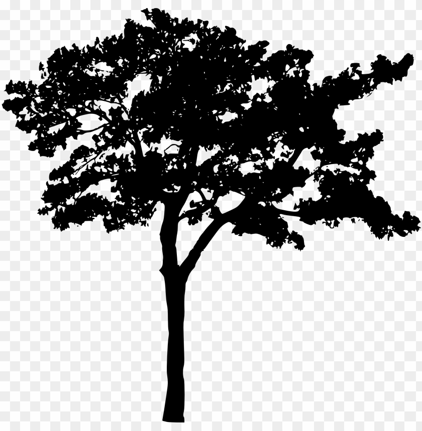 Detail Tree Siluet Nomer 36