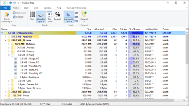 Detail Tree Size Download Nomer 12