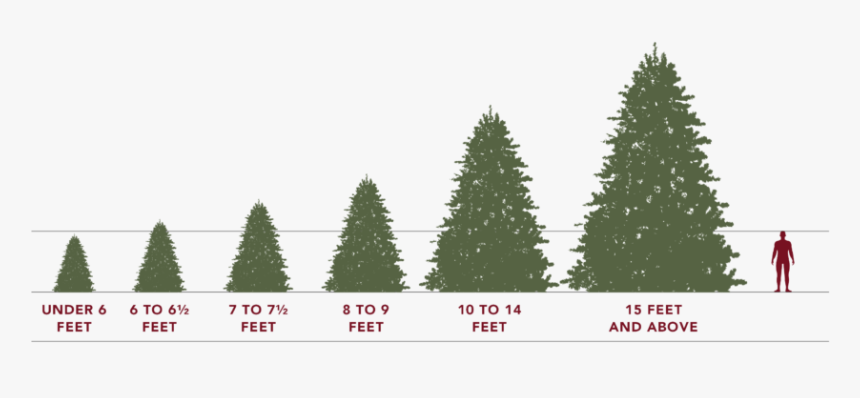 Detail Tree Size Download Nomer 22