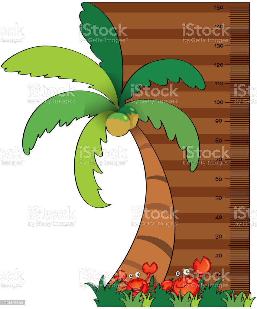 Detail Tree Size Download Nomer 24