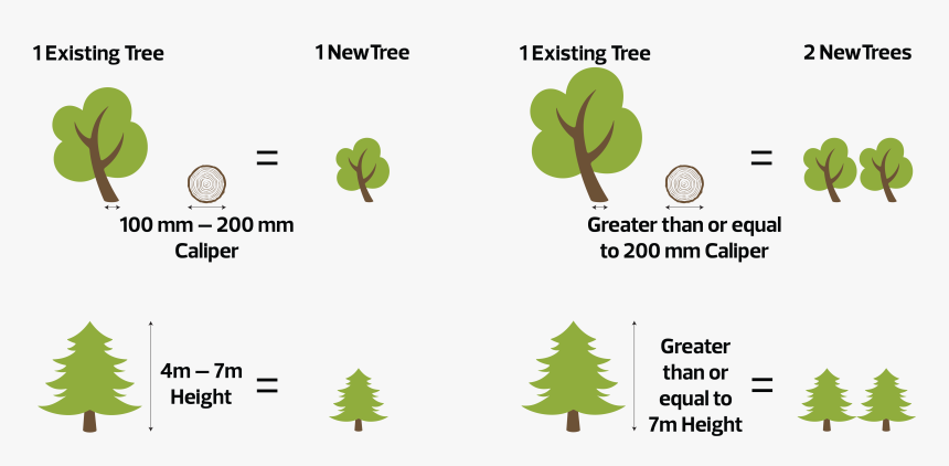 Detail Tree Size Download Nomer 3